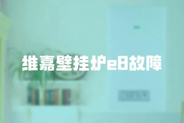 維嘉壁掛爐e8故障