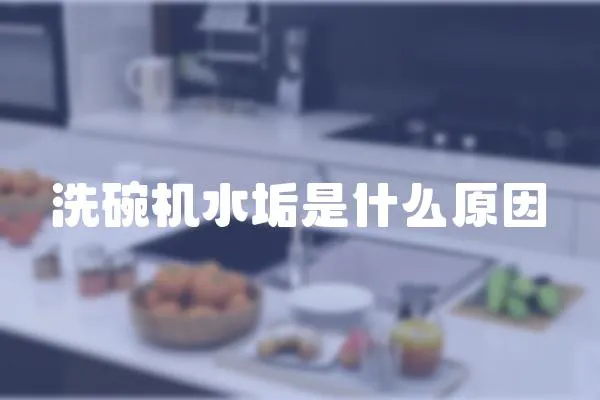 洗碗機水垢是什么原因