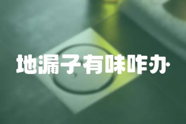 地漏子有味咋辦