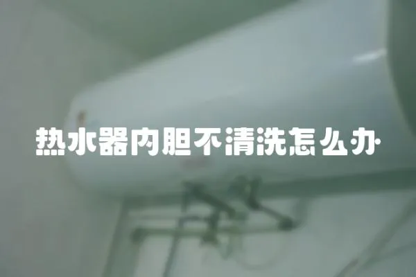 熱水器內膽不清洗怎么辦