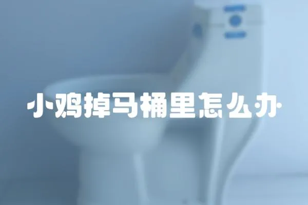 小雞掉馬桶里怎么辦
