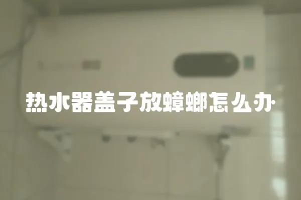 熱水器蓋子放蟑螂怎么辦