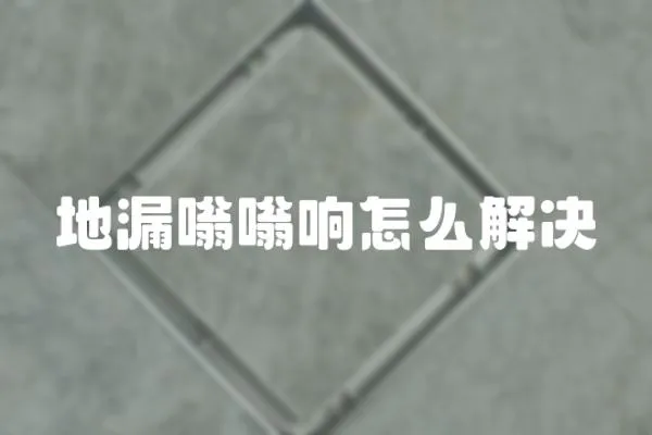 地漏嗡嗡響怎么解決