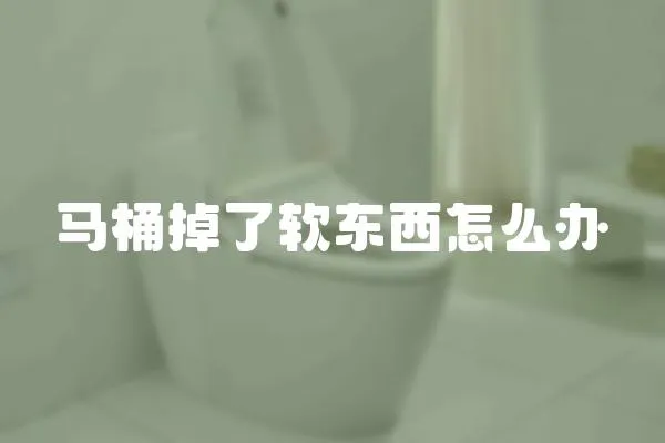 马桶掉了软东西怎么办