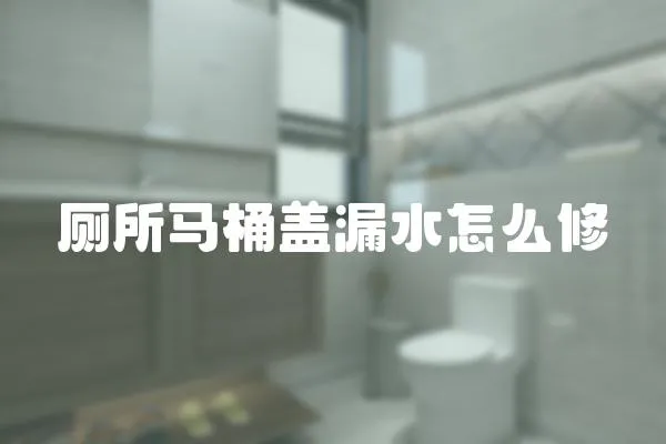廁所馬桶蓋漏水怎么修