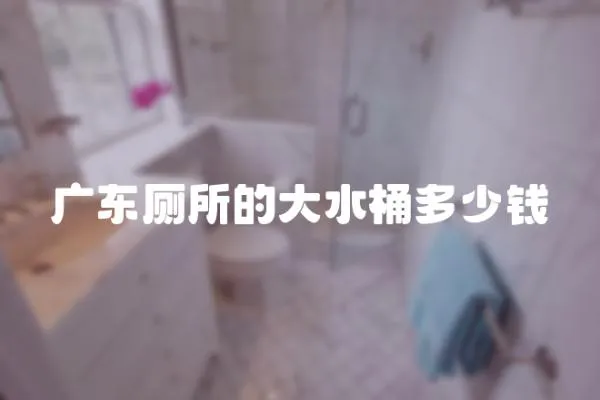 廣東廁所的大水桶多少錢