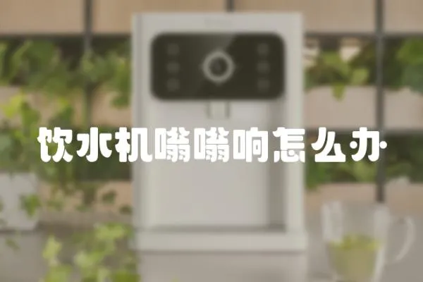 飲水機嗡嗡響怎么辦