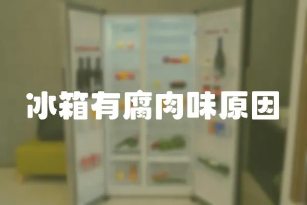 冰箱有腐肉味原因