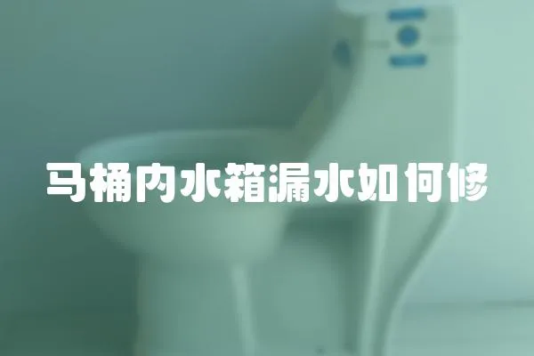 馬桶內水箱漏水如何修