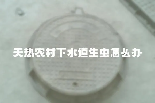 天熱農(nóng)村下水道生蟲(chóng)怎么辦