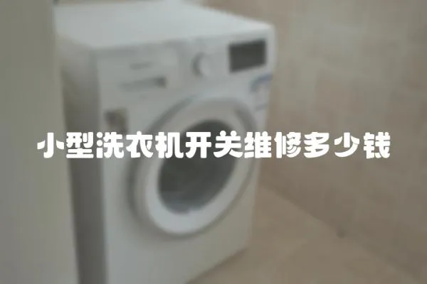 小型洗衣機開關維修多少錢