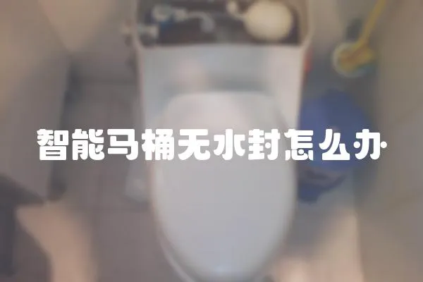 智能馬桶無水封怎么辦