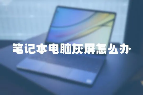 筆記本電腦灰屏怎么辦