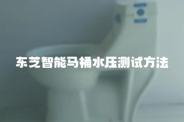 東芝智能馬桶水壓測(cè)試方法