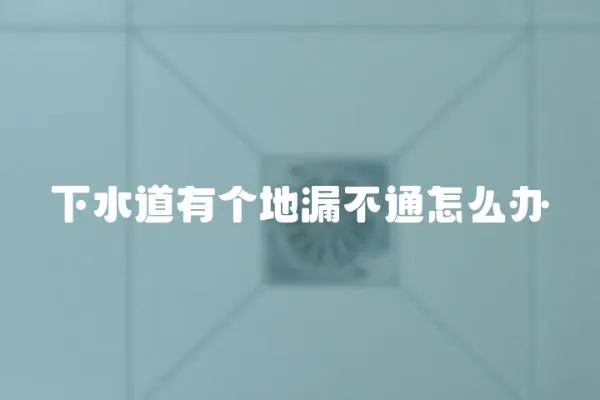 下水道有個地漏不通怎么辦