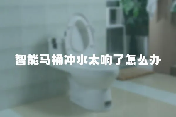 智能馬桶沖水太響了怎么辦