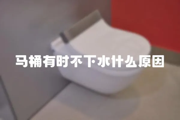 馬桶有時不下水什么原因