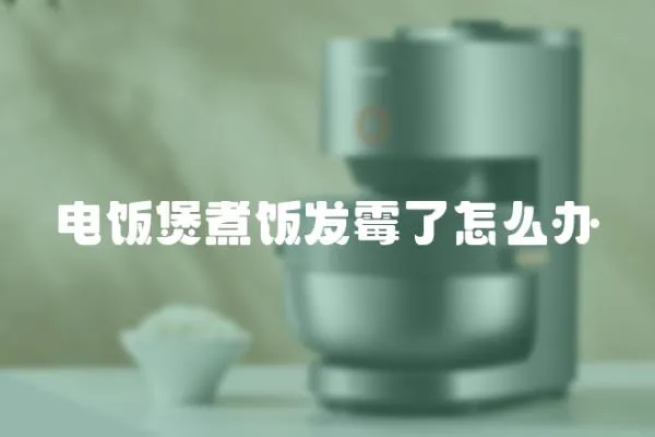 電飯煲煮飯發霉了怎么辦
