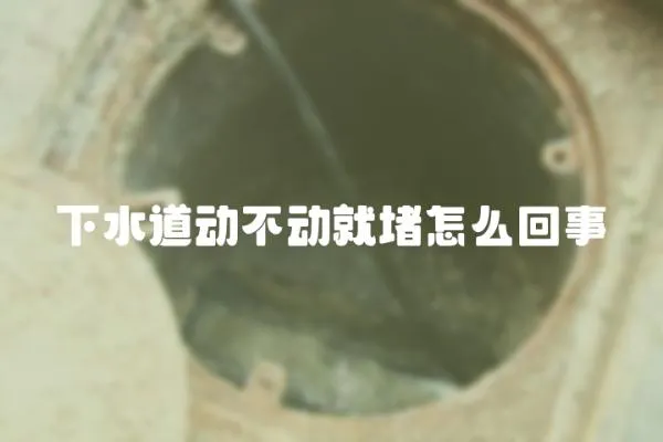 下水道動不動就堵怎么回事