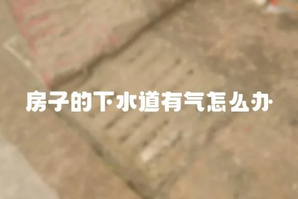 房子的下水道有氣怎么辦