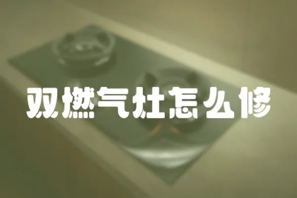 雙燃氣灶怎么修