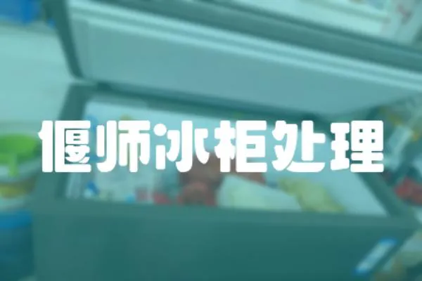 偃師冰柜處理