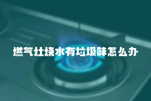 燃?xì)庠顭欣对趺崔k