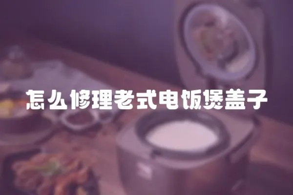 怎么修理老式電飯煲蓋子