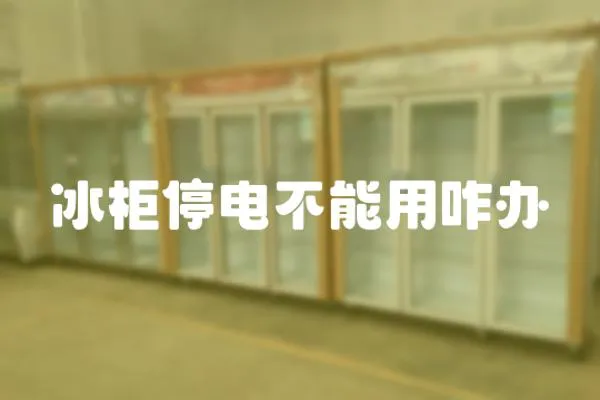 冰柜停電不能用咋辦