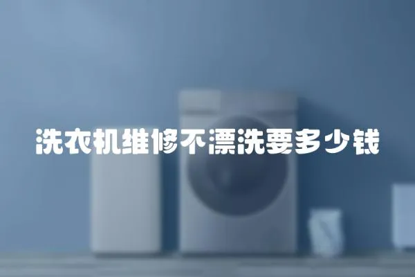洗衣機維修不漂洗要多少錢