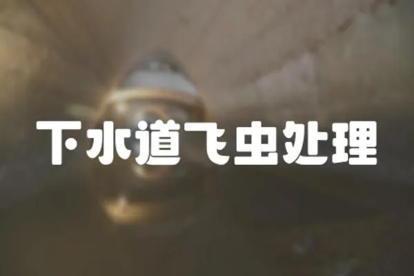 下水道飛蟲處理
