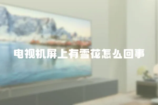 電視機(jī)屏上有雪花怎么回事