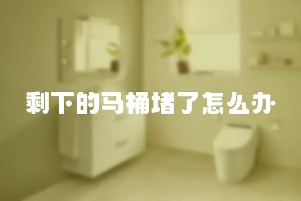 剩下的馬桶堵了怎么辦