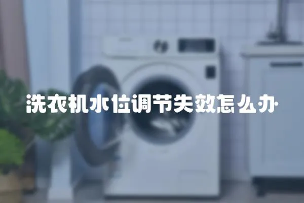 洗衣機水位調節失效怎么辦