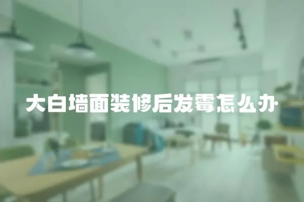 大白墻面裝修后發霉怎么辦