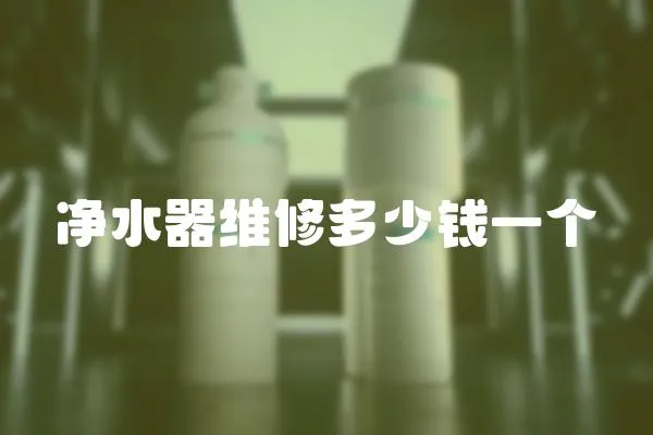 凈水器維修多少錢一個