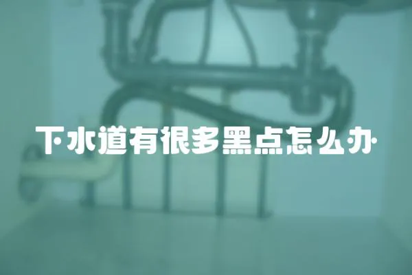 下水道有很多黑點怎么辦