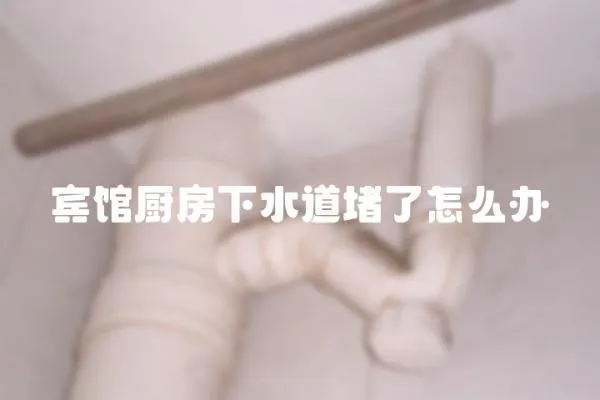 賓館廚房下水道堵了怎么辦