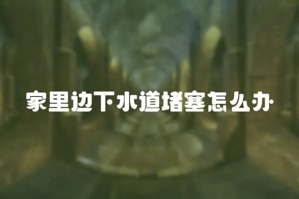 家里邊下水道堵塞怎么辦