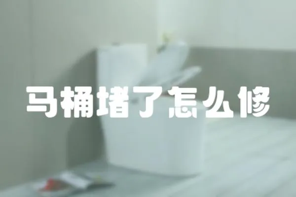 馬桶堵了怎么修