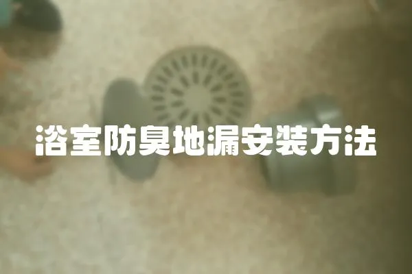 浴室防臭地漏安裝方法