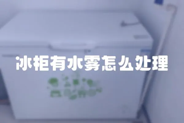 冰柜有水霧怎么處理
