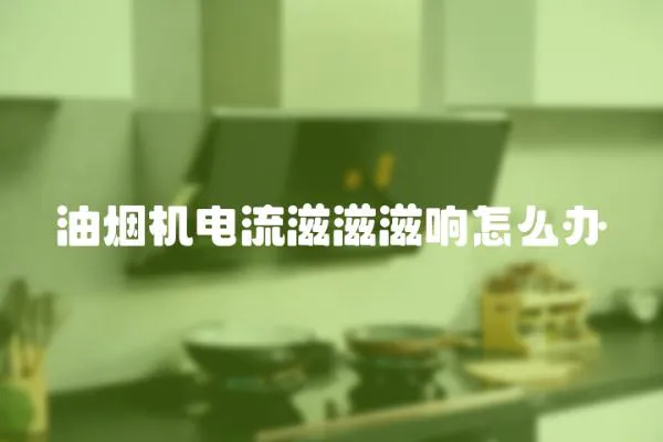 油煙機電流滋滋滋響怎么辦