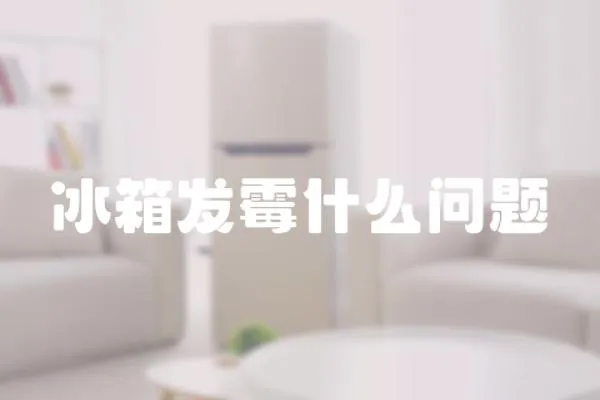 冰箱發霉什么問題