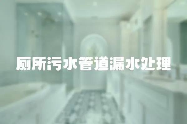 廁所污水管道漏水處理