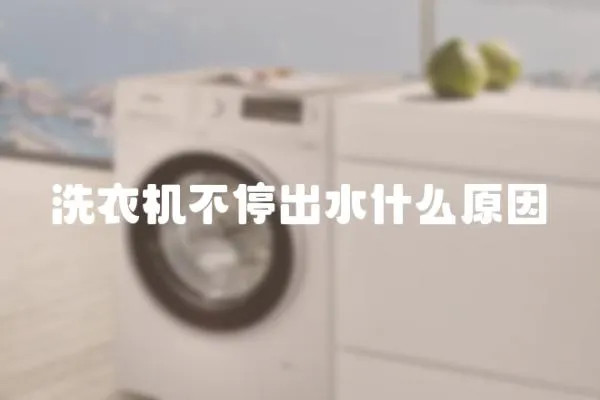洗衣機(jī)不停出水什么原因