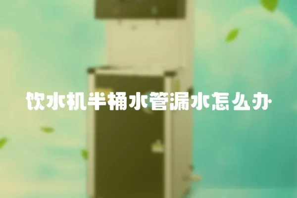 飲水機半桶水管漏水怎么辦