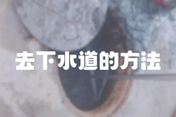 去下水道的方法