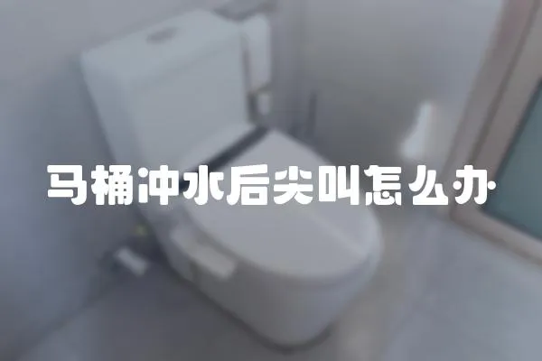 馬桶沖水后尖叫怎么辦