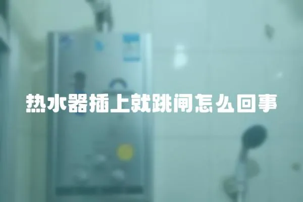 熱水器插上就跳閘怎么回事